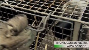 Клетка для норки