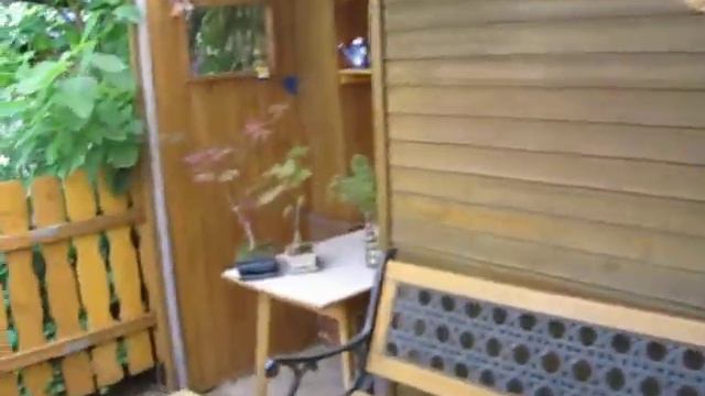 Wonderful flower -CLEMATIS -in Romanian garden near Frankfurt Germany on april 2011 смотреть онлайн