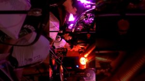 Беспечный ангел - Денис Булатов Байкер Бар Донецк