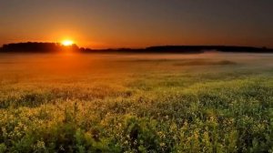 Мы идём с конём по полю вдвоём.