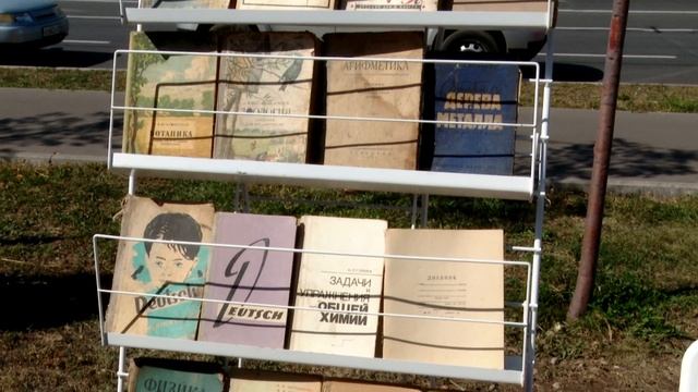 В Альметьевске отмечают День Республики Татарстан смотреть онлайн