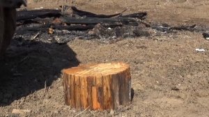 Вездеход переломка на шинах низкого давления От А до Я