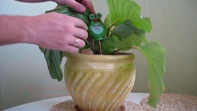 Измеритель Влажности Почвы смотреть онлайн