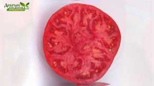 ОКС ДЕСЕРТ F1 (Ox Desert F1) - ранний томат типа «Бычье Сердце»