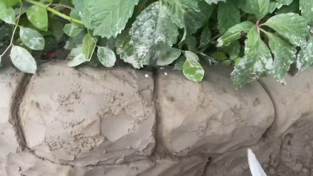 Клумба и дорожка под камень из цемента. смотреть онлайн