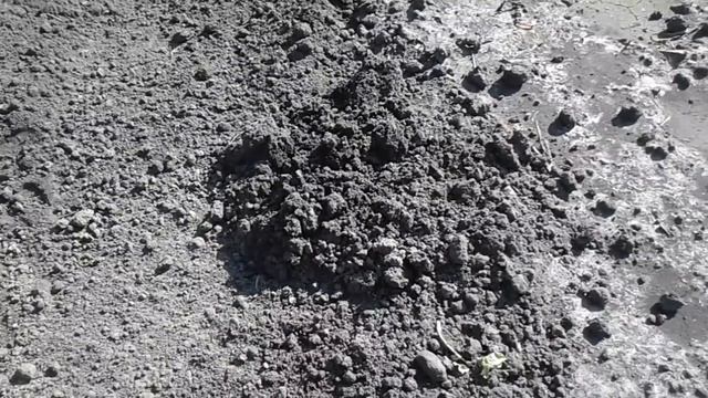 Как появляются горки земли над кротовыми норами смотреть онлайн