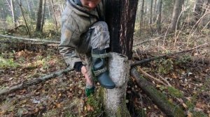 Немного о Гафах(Древолазах)