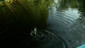 Константин Кузьмин. Рыбалка на Средней Волге. Щука на джиг и воблеры.