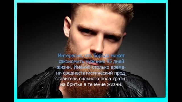 5 фактов о бороде смотреть онлайн