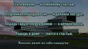 К чему снится Лошадь сонник, толкование сна