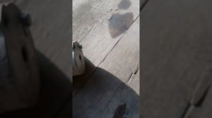 Почему свистит ремень на Хендай солярис, натяжитель ремня