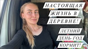 Начало сенокоса 2023. Учусь прессовать сама. Узи козам