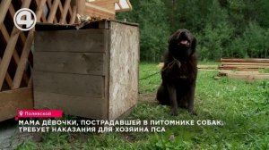 Мама девочки, пострадавшей в питомнике собак, требует наказания для хозяина пса