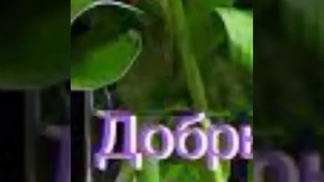 Доброго вечера!❤