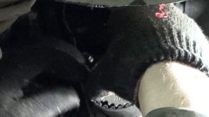 Замена сальника коленвала Дэу Матиз