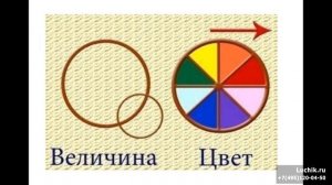 Онлайн занятия для детей, урок развития речи «Знакомство с насекомыми»