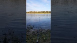 Рыбалка в Раздорах на Дону