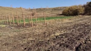 Осенние работы в огороде