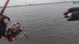 Ловля окуня поздней осенью на Дроп шот