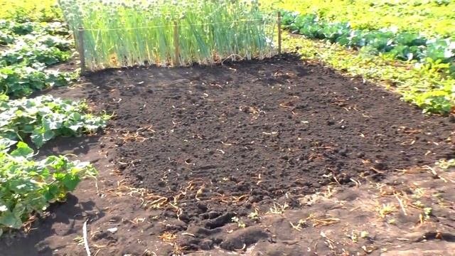 КОНСЕРВАЦИЯ КАБАЧКОВ)) ПО ЭТОМУ РЕЦЕПТУ -  Https://youtu.be/bFNtFZdvCik