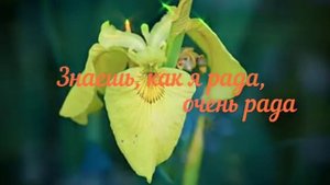Доченька родная (песня для дочери)