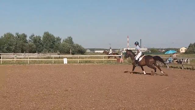 Анна Сергеева ,соревнования в КСК "Сонет",высота 110 см