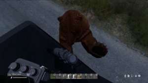 Dayz Сервер Охота_Отдых_Рыбалка_PVE