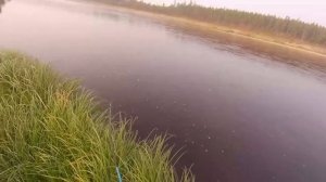 Рыбалка на Ленка на реке Нюя Саха Якутия