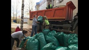 Сквер Геологоразведчиков: История в деревьях