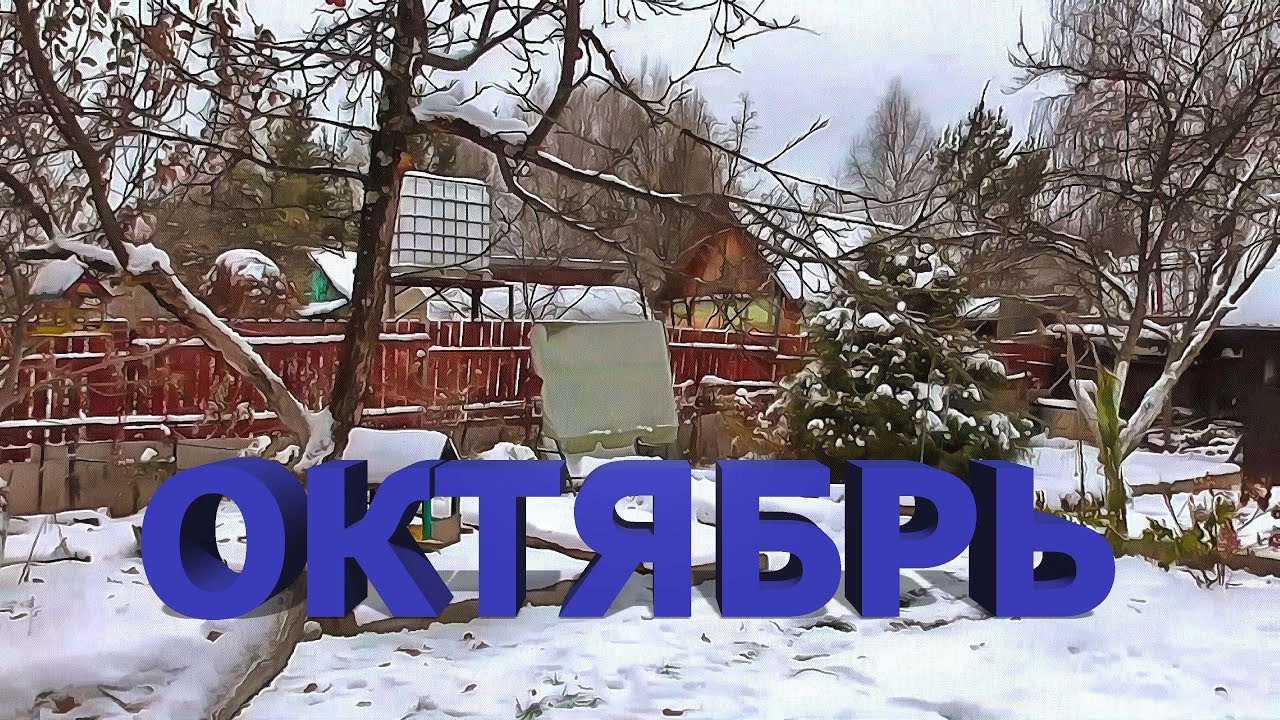 Октябрь 2023