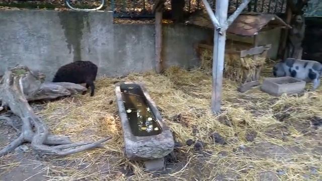 Романтический ресторан в Праге . "Na tý louce zelený"