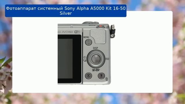 Фотоаппарат Sony Alpha A5000 Kit 16-50 Silver обзор смотреть онлайн