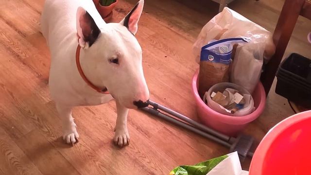 Случилось чудо - нас обманули! смотреть онлайн