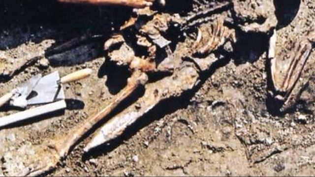 РАСКОПКИ РИМСКОГО ОФИЦЕРА С ОРУЖИЕМ И КЛАДОМ МОНЕТ смотреть онлайн