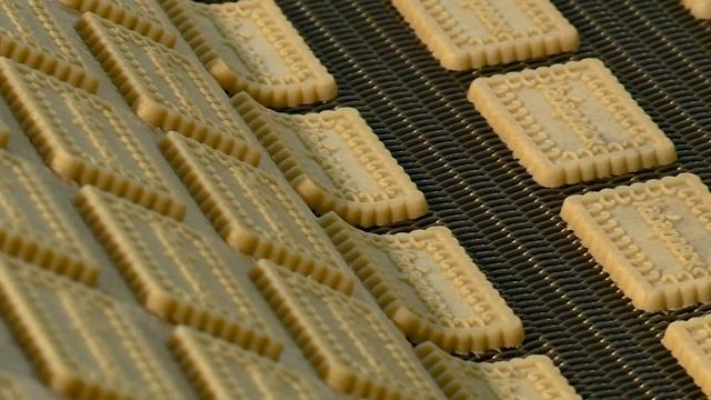 Технологическая линия для производства сахарного печенья смотреть онлайн