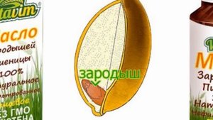 О масле зародышей пшеницы