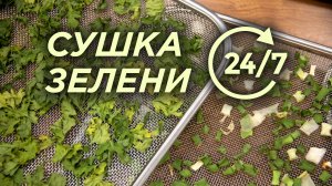 Ежедневная сушка продуктов | Дегидратор для зелени Lequip IR D5