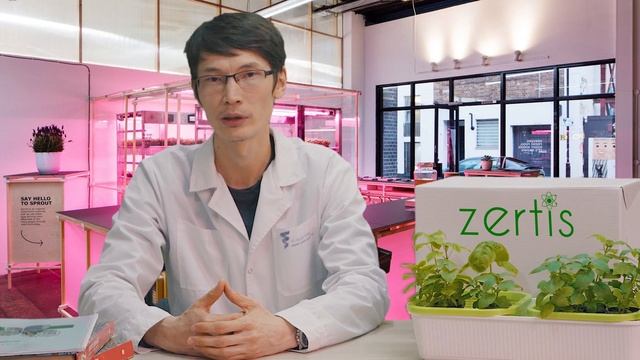 Дистанционный онлайн курс:  