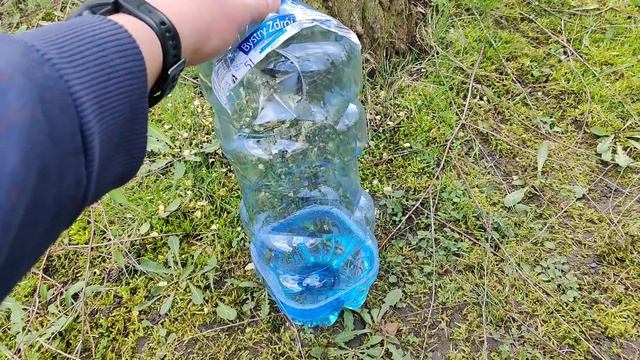 Sok z brzozy. Jak i kiedy pobierać? Jakie ma właściwości? Przechowywanie i inne informacje. смотреть онлайн