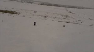 сноубайк самодельный "МикС Х 150"