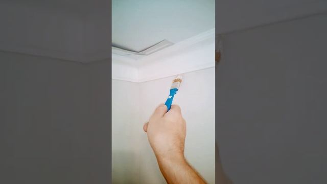 Карниз и натяжной потолок #отделочныеработы #ремонтподключ