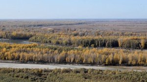 Обь в районе Елунино. 120 метров обрыва.