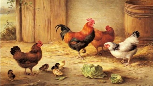 Ознайомлення з природою. Свійські птахи. Молодша група. смотреть онлайн