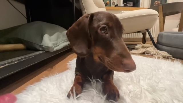 пробую себя в новых хобби #3 смотреть онлайн