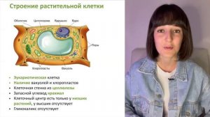 ЭУКАРИОТЫ И ПРОКАРИОТЫ ЕГЭ БИОЛОГИЯ