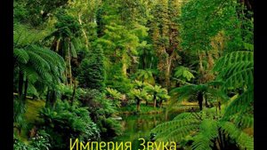 Невероятно Мощная и Красивая Нью Эйдж Музыка!