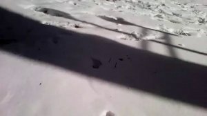 Жизнь в горах