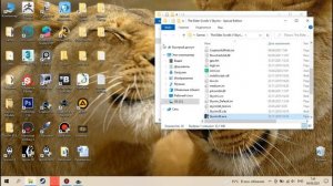 Портирование модов со  Skyrim LE на Skyrim SE. Очень просто! Часть 1