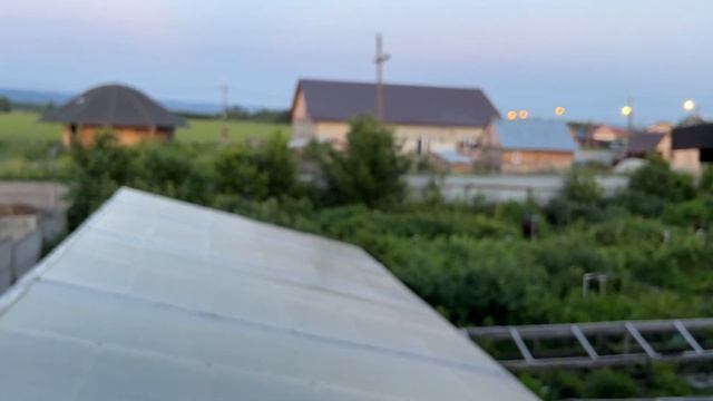 Вечерний обзор теплицы с черенками. смотреть онлайн