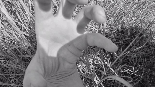 miracle edek, черан едек ааааа смотреть онлайн